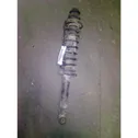 Rear shock absorber with coil spring