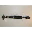 Rear shock absorber with coil spring