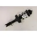 Front shock absorber/damper