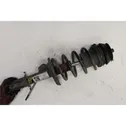 Front shock absorber/damper