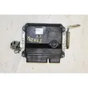 Fuel injection control unit/module