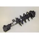 Front shock absorber/damper