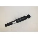 Rear shock absorber with coil spring