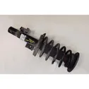 Front shock absorber/damper