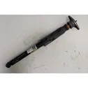 Rear shock absorber with coil spring