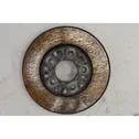 Front brake disc