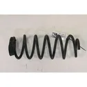 Rear coil spring