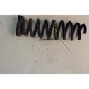 Rear coil spring