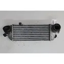 Intercooler radiator