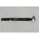 Rear shock absorber with coil spring