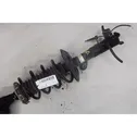 Front shock absorber/damper