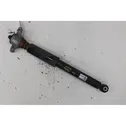 Rear shock absorber with coil spring