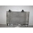 Intercooler radiator