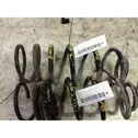 Rear coil spring