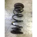 Rear coil spring