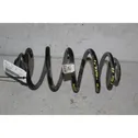 Rear coil spring