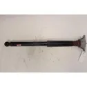 Rear shock absorber with coil spring