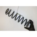 Rear coil spring