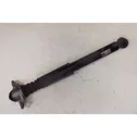 Rear shock absorber with coil spring