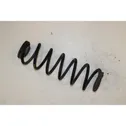 Rear coil spring