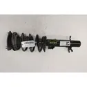 Front shock absorber/damper