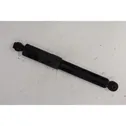 Rear shock absorber with coil spring