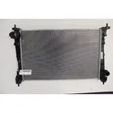 Mazais radiators