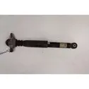 Rear shock absorber with coil spring