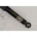 Rear shock absorber with coil spring