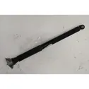 Rear shock absorber with coil spring