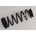 Rear coil spring