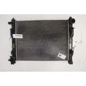 Heater blower radiator