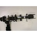 Rear shock absorber with coil spring