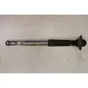 Rear shock absorber with coil spring