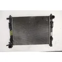 Heater blower radiator