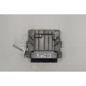 Fuel injection control unit/module