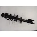 Rear shock absorber with coil spring