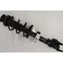 Rear shock absorber with coil spring