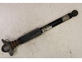 Rear shock absorber/damper