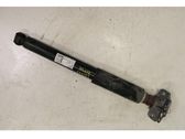 Rear shock absorber/damper