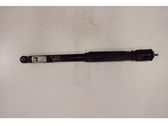 Rear shock absorber/damper
