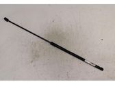 Front bonnet/hood damper/strut