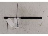 Front bonnet/hood damper/strut