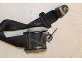Cinturón trasero