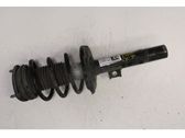 Front shock absorber/damper