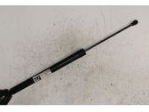 Rear window strut damper