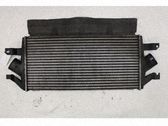 Chłodnica powietrza doładowującego / Intercooler