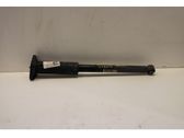 Rear shock absorber/damper