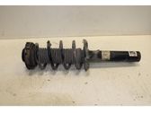 Front shock absorber/damper