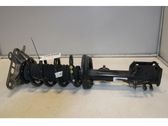 Rear shock absorber/damper